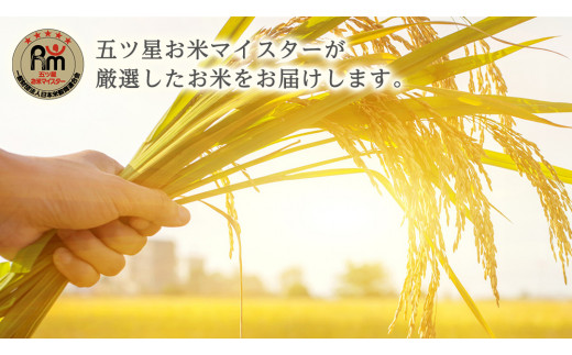 【 6ヶ月 連続配送 定期便 】《 令和6年産 》 茨城県産 無洗米 コシヒカリ 10kg こしひかり 米 コメ こめ 五ツ星 高品質 白米 精米 時短 新米