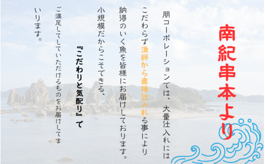 和歌山県産 天然 キハダマグロ 約300g / まぐろ 鮪 キハダマグロ 海鮮 魚貝 魚　【tcr001A】