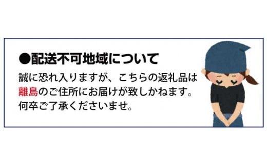 紀州和歌山まるごとみかんゼリー 145g×6個 化粧箱入 ※2024年10月上旬頃より発送予定【uot790】