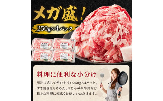 神戸牛 メガ盛りすき焼き肉 1kg 定期便全6回【奇数月にお届け】《 神戸牛 牛肉 すき焼き 焼肉 小分け 送料無料 定期便 》【2415A00109】