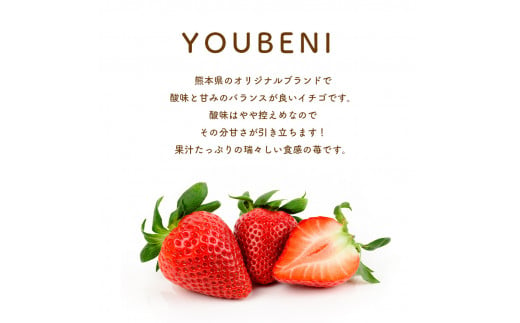【1月以降発送】 熊本たまな産 イチゴ ゆうべに 約1000g （ 250g × 4パック ） | フルーツ 果物 くだもの 苺 いちご 熊本県 玉名市