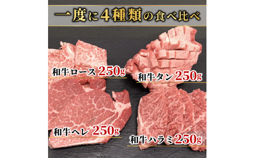 ★選べる配送月★【4月発送】大浦和牛焼肉セット(1kg)《 牛肉 牛 国産 焼肉 セット おすすめ ロース 美味しい 牛タン ハラミ ヒレ 食べ比べ バーベキュー 》【2405A00206-04】