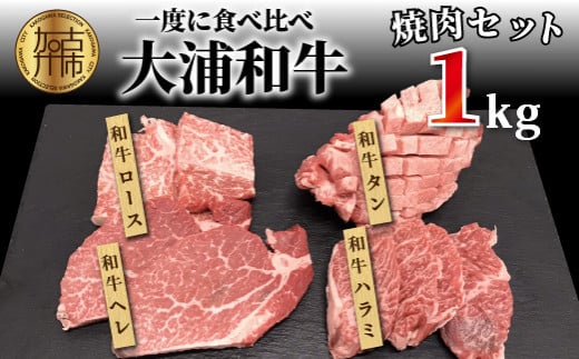 ★選べる配送月★【4月発送】大浦和牛焼肉セット(1kg)《 牛肉 牛 国産 焼肉 セット おすすめ ロース 美味しい 牛タン ハラミ ヒレ 食べ比べ バーベキュー 》【2405A00206-04】