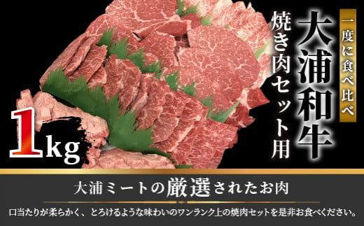 ★選べる配送月★【4月発送】大浦和牛焼肉セット(1kg)《 牛肉 牛 国産 焼肉 セット おすすめ ロース 美味しい 牛タン ハラミ ヒレ 食べ比べ バーベキュー 》【2405A00206-04】