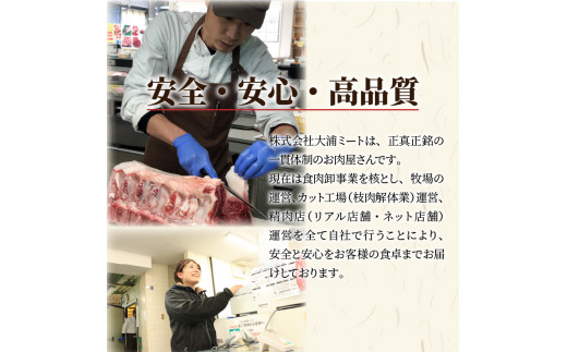 ★選べる配送月★【4月発送】大浦和牛焼肉セット(1kg)《 牛肉 牛 国産 焼肉 セット おすすめ ロース 美味しい 牛タン ハラミ ヒレ 食べ比べ バーベキュー 》【2405A00206-04】