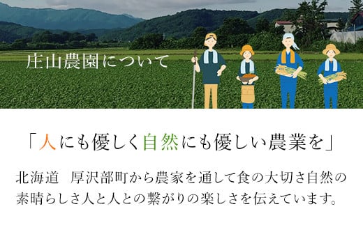 【令和6年産 新米】北海道厚沢部産ななつぼし15kg（5kg×3ヶ月連続お届け）【 ふるさと納税 人気 おすすめ ランキング 米 ご飯 ごはん 白米 ななつぼし 精米 つや 粘り  北海道 厚沢部 送料無料 】ASG018