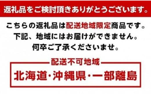 こだわりの 青切りみかん　約10kg【2024年9月下旬より順次発送】