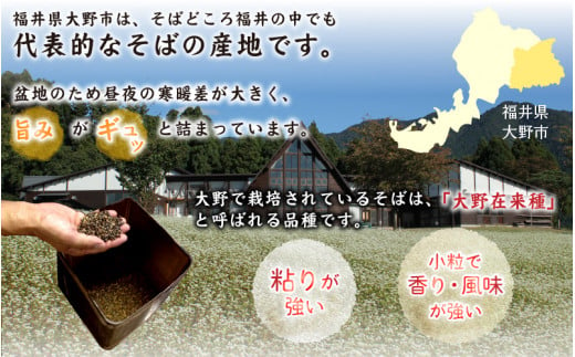 【12ヶ月定期便】越前大野産 石臼挽き 越前そば 生そば10食 × 12回 計120食（つゆ付）