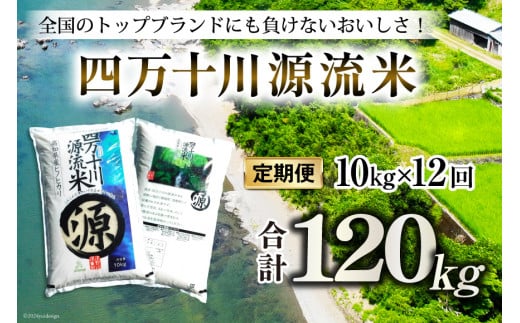 全12回 定期便 米 四万十川源流米・精米 10kg×12回 計120kg [JA高知県高西営農経済センター津野山経済課 高知県 津野町 26ah0011] お米 こめ おこめ 定期 毎月