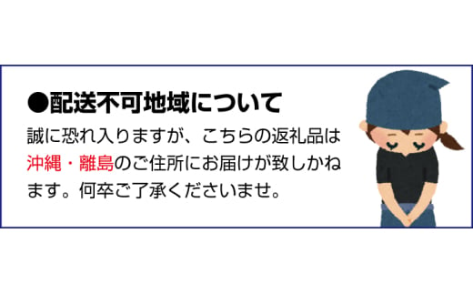 【希少柑橘】有田産なつみ約5kg（S～2Lサイズおまかせ）【tec880】