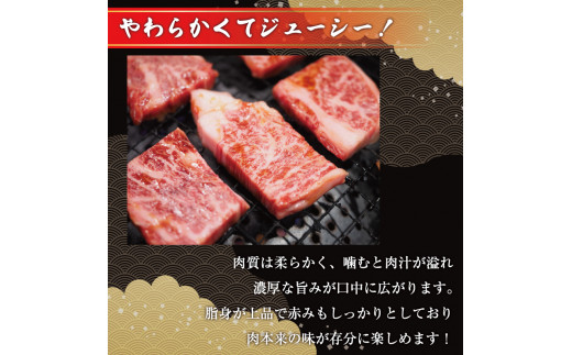 訳あり！博多和牛サーロインステーキセット 5kg(250g２枚入り×10p) [a0447] 株式会社Meat Plus ※配送不可：離島【返礼品】添田町 ふるさと納税