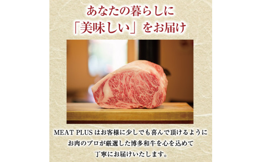 訳あり！博多和牛サーロインステーキセット 5kg(250g２枚入り×10p) [a0447] 株式会社Meat Plus ※配送不可：離島【返礼品】添田町 ふるさと納税