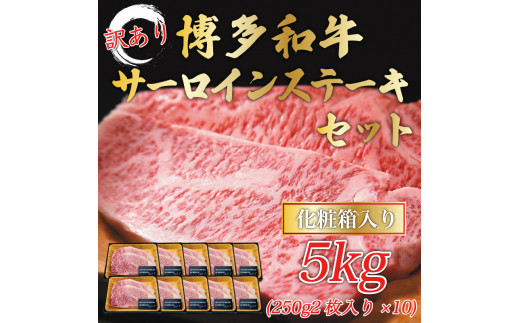 訳あり！博多和牛サーロインステーキセット 5kg(250g２枚入り×10p) [a0447] 株式会社Meat Plus ※配送不可：離島【返礼品】添田町 ふるさと納税