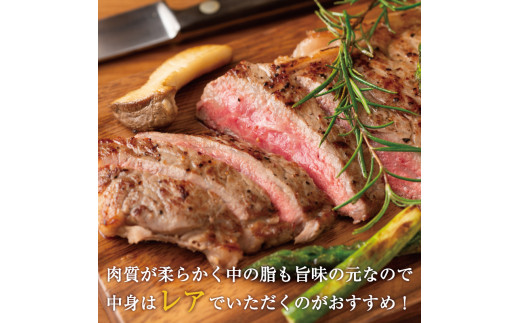 訳あり！博多和牛サーロインステーキセット 5kg(250g２枚入り×10p) [a0447] 株式会社Meat Plus ※配送不可：離島【返礼品】添田町 ふるさと納税