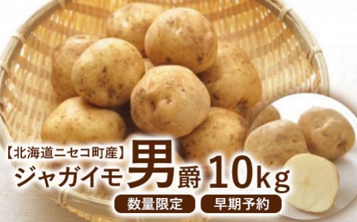 【北海道ニセコ町産】ジャガイモ　男爵　10kg　＜数量限定・2024年早期予約・9月末より出荷予定＞【0202501】