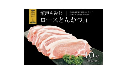 ＜とんかつ用1kg＞庄原産豚肉「瀬戸もみじ」ロース　100g×10枚セット【1359554】