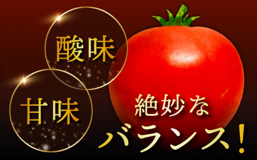 松本さん 極上 ミニトマト 約1kg