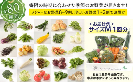 綾町旬野菜ギフト（Lサイズ）【全６回定期便】