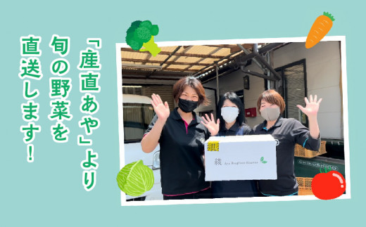 綾町旬野菜ギフト（Lサイズ）【全６回定期便】