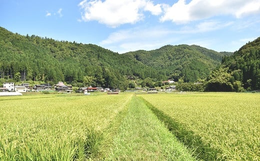 有機質バイオ肥料を使った土壌づくりに取り組み、環境にもやさしい、安心安全な米づくりを行っています。