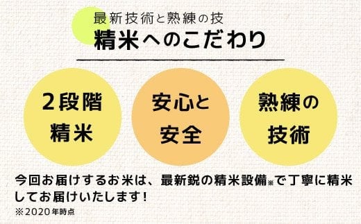 ★数量限定★【令和６年産・令和7年6月発送分】熊本を代表するブランド米13ｋｇ（森のくまさん5kg×2袋、3kg×1袋）指定月20日前後から順次発送開始予定【価格改定ZD】