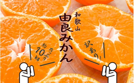 和歌山由良みかん 約10kg 訳あり 家庭用キズあり サイズおまかせ(2Ｌ～2Ｓ) いずれかお届け【sml112】