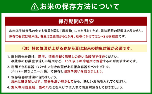 【新米受付・令和6年産米】【定期便：2ヶ月連続でお届け】新潟県岩船産 棚田米コシヒカリ 12kg+パックごはん(150ｇ×1個) ×2ヶ月 1067013N 毎月 新米予約 お米 白米 こしひかり 精米 村上市 