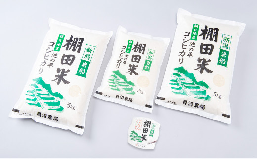 【新米受付・令和6年産米】【定期便：2ヶ月連続でお届け】新潟県岩船産 棚田米コシヒカリ 12kg+パックごはん(150ｇ×1個) ×2ヶ月 1067013N 毎月 新米予約 お米 白米 こしひかり 精米 村上市 