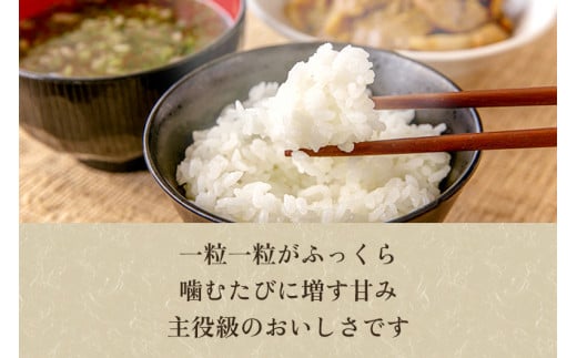 【令和6年産新米先行予約】【定期便3回毎月お届け】新潟県加茂市産 特別栽培米コシヒカリ 玄米2kg 従来品種コシヒカリ 加茂有機米生産組合