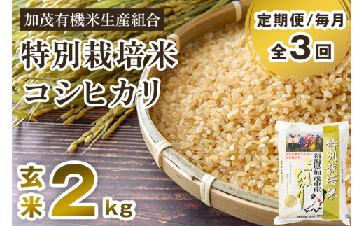 【令和6年産新米先行予約】【定期便3回毎月お届け】新潟県加茂市産 特別栽培米コシヒカリ 玄米2kg 従来品種コシヒカリ 加茂有機米生産組合