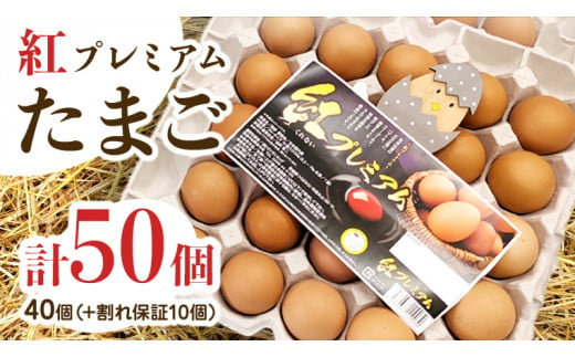 紅プレミアム 卵 50個 （ 40個 入り ＋ 割れ保障 10個 ） 独自飼料 濃厚 おいしい玉子 玉子 たまご サンサンエッグ タンパク質