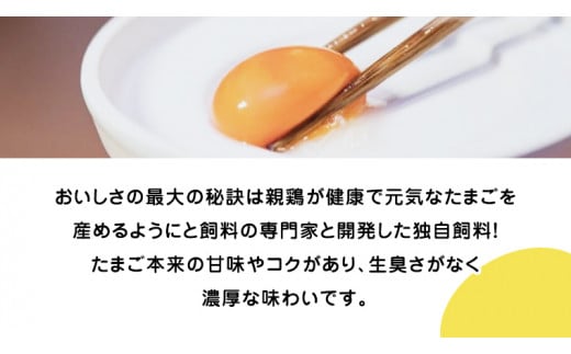 紅プレミアム 卵 50個 （ 40個 入り ＋ 割れ保障 10個 ） 独自飼料 濃厚 おいしい玉子 玉子 たまご サンサンエッグ タンパク質