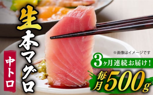 【全3回定期便】五島列島産 養殖 生本かみまぐろ 中トロ 500g / まぐろ 鮪 刺身 ブロック