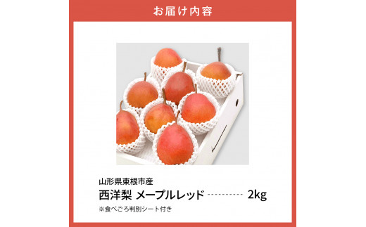 【令和6年産 先行予約】西洋梨メープルレッド2kg　秀品　化粧箱入り 山形県 東根市 東根農産センター提供 hi027-140