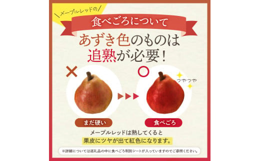 【令和6年産 先行予約】西洋梨メープルレッド2kg　秀品　化粧箱入り 山形県 東根市 東根農産センター提供 hi027-140