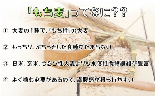 ★精米したてが1番！★令和5年産 盛岡市産 ひとめぼれ【無洗米・もち麦入り】5kg『定期便6ヶ月』 ◆1等米のみを使用したお米マイスター監修の米◆