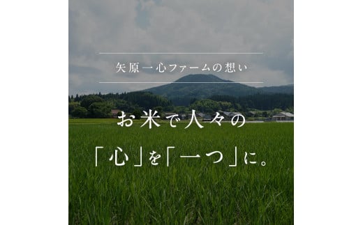 【新米・予約】 令和6年産 矢原一心ファーム 特別栽培米 ミルキークイーン 5kg 米 お米 おこめ 鳥取県日南町 特別栽培