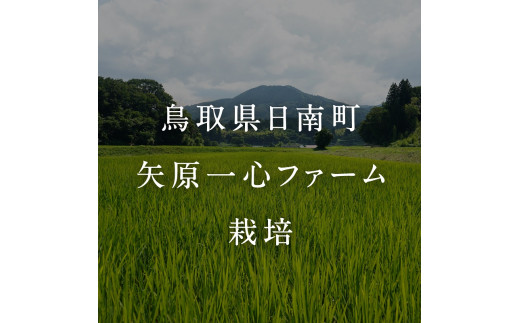 【新米・予約】 令和6年産 矢原一心ファーム 特別栽培米 ミルキークイーン 5kg 米 お米 おこめ 鳥取県日南町 特別栽培