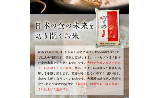 【2024年12月下旬発送】【定期便】令和6年産 新潟県上越・妙高産新之助2kg×6回（計12kg）