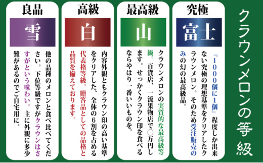 11月発送クラウンメロン（山級）特大玉  1玉　ギフト箱入り