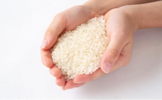 みずほファーム UKIHA RICE 白米5kg 2024年10月20日より順次出荷予定