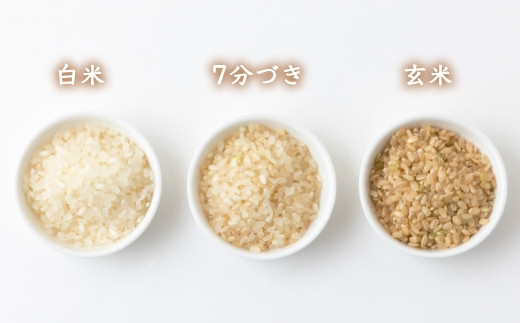 みずほファーム UKIHA RICE 白米5kg 2024年10月20日より順次出荷予定