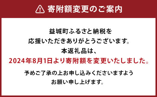 再春館製薬所 ドモホルンリンクル コンプリート 8点 セット