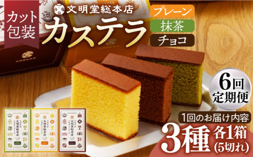 カステラ 長崎 贈答 ギフト 詰め合わせ 人気 和菓子 送料無料 常温 かすてら ざらめ ザラメ 文明堂 個包装 定期 定期便