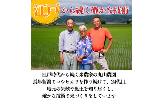 【令和6年産新米】 こしひかり 精米 5kg せいまい 米 こめ コメ 新潟県 産 おすすめ オススメ