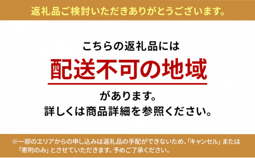 プルーン「 シュガー 」約 2kg 2024年 8月下旬発送　【 長野県 生プルーン 長野県産 すもも プラム 桃 もも フルーツ 果物 鉄分 ジャム ソース ドライプルーン ドライフルーツ 長野 国産 2024 先行予約 2㎏ 人気 】