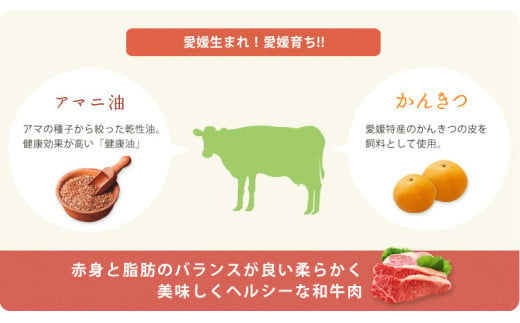 愛媛あかね和牛サーロインステーキ（約250ｇ×5枚） | 国産 和牛 牛肉 ブランド牛 ステーキ 焼肉 冷蔵 愛媛県 松前町