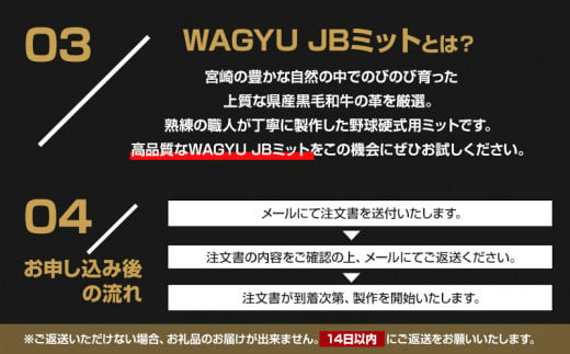 宮崎県産牛革使用 WAGYU JB硬式用オーダーミット｜グローブ 野球｜_M147-046_01