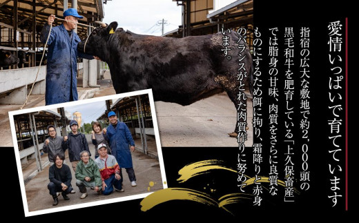 ＜A4ランク＞鹿児島県産黒毛和牛リブロース焼きしゃぶ用(500g)【牛肉 黒毛和牛 和牛 牛 肉 リブ リブロース ロース しゃぶしゃぶ おかず 冷凍 国産 九州産 鹿児島県産 人気 食品 お祝い ギフト おすすめ 鹿児島県 種子島 中種子町 ふるさと納税 送料無料 BH03】