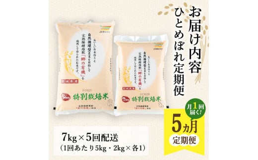 ＜5ヶ月定期便＞特別栽培米 ひとめぼれ 7kg×5回 (全35kg) お米 おこめ 米 コメ 白米 ご飯 ごはん おにぎり お弁当 有機質肥料 頒布会【JA新みやぎ】ta223